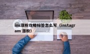 ins涨粉攻略标签怎么写（instagram 涨粉）