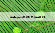 instagram账号批发（ins卖号）