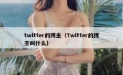 twitter的博主（Twitter的博主叫什么）