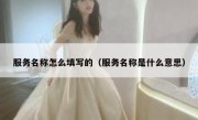 服务名称怎么填写的（服务名称是什么意思）