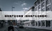 推特用户名在哪看（推特用户名在哪看啊）