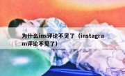 为什么ins评论不见了（instagram评论不见了）