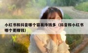 小红书和抖音哪个容易挣钱多（抖音和小红书哪个更赚钱）