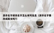 派币名字修改名字怎么填写信息（派币名字要改成英文吗?）