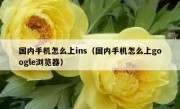 国内手机怎么上ins（国内手机怎么上google浏览器）