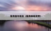服务器年租金（服务器租赁费）