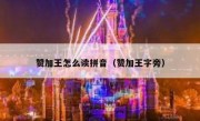 赞加王怎么读拼音（赞加王字旁）