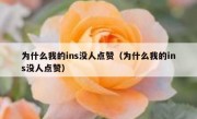 为什么我的ins没人点赞（为什么我的ins没人点赞）
