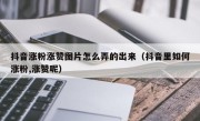 抖音涨粉涨赞图片怎么弄的出来（抖音里如何涨粉,涨赞呢）
