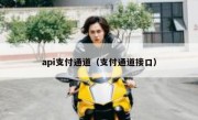 api支付通道（支付通道接口）