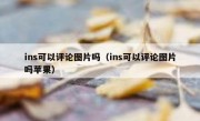 ins可以评论图片吗（ins可以评论图片吗苹果）