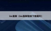 ins复制（ins复制链接下载图片）