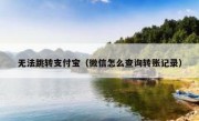 无法跳转支付宝（微信怎么查询转账记录）