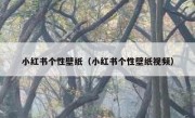 小红书个性壁纸（小红书个性壁纸视频）
