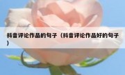 抖音评论作品的句子（抖音评论作品好的句子）