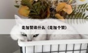 走加赞读什么（走加个赞）