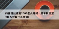 抖音粉丝涨到1000怎么赚钱（抖音粉丝涨到1万会有什么待遇）
