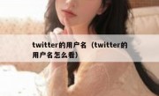 twitter的用户名（twitter的用户名怎么看）