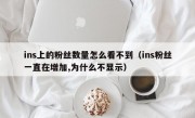 ins上的粉丝数量怎么看不到（ins粉丝一直在增加,为什么不显示）