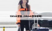 tiktok营销（tiktok营销策略）