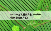 twitter怎么看用户名（twitter如何查找用户名）