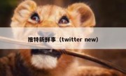推特新鲜事（twitter new）
