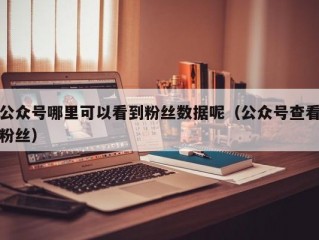 公众号哪里可以看到粉丝数据呢（公众号查看粉丝）