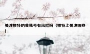 关注推特的黄账号有风险吗（推特上关注哪些）