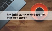 如何查看自己youtube账号地址（youtube账号怎么看）