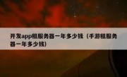 开发app租服务器一年多少钱（手游租服务器一年多少钱）