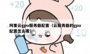 阿里云gpu服务器配置（云服务器的gpu配置怎么看）