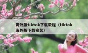 海外版tiktok下载教程（tiktok海外版下载安装）