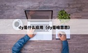 dy是什么应用（dy是啥意思）