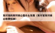 支付宝的支付接口是什么东西（支付宝支付接口收费标准）