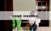 抖音加赞（抖音加赞网址）