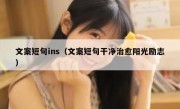 文案短句ins（文案短句干净治愈阳光励志）