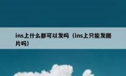 ins上什么都可以发吗（ins上只能发图片吗）