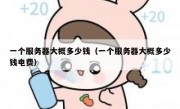 一个服务器大概多少钱（一个服务器大概多少钱电费）
