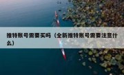 推特账号需要买吗（全新推特账号需要注意什么）