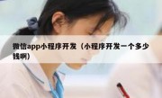 微信app小程序开发（小程序开发一个多少钱啊）