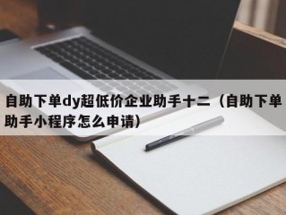 自助下单dy超低价企业助手十二（自助下单助手小程序怎么申请）