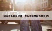 国内怎么能用谷歌（怎么才能在国内用谷歌）