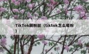 TikTok刷粉丝（tiktok怎么吸粉）