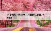 抖音网红Twitter（抖音网红歌曲100首）