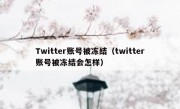 Twitter账号被冻结（twitter账号被冻结会怎样）