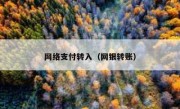 网络支付转入（网银转账）
