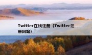 Twitter在线注册（Twitter注册网站）