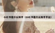 小红书是什么知乎（小红书是什么知乎平台）