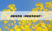 成都服务器（成都服务器维护）