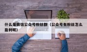 什么是微信公众号粉丝群（公众号有粉丝怎么盈利呢）